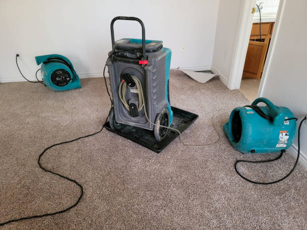 Best Sewage cleanup and water damage restoration  in Port Ewen, NY