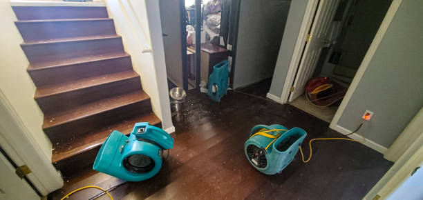 Best Emergency water extraction  in Port Ewen, NY