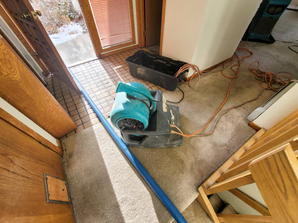 Best Ceiling water damage repair  in Port Ewen, NY