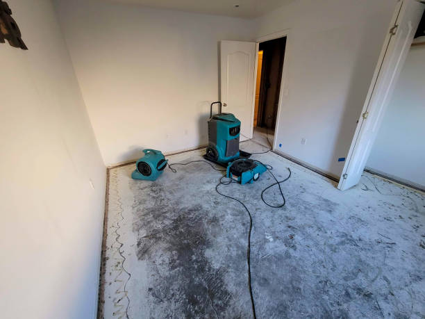 Best Local water damage restoration  in Port Ewen, NY