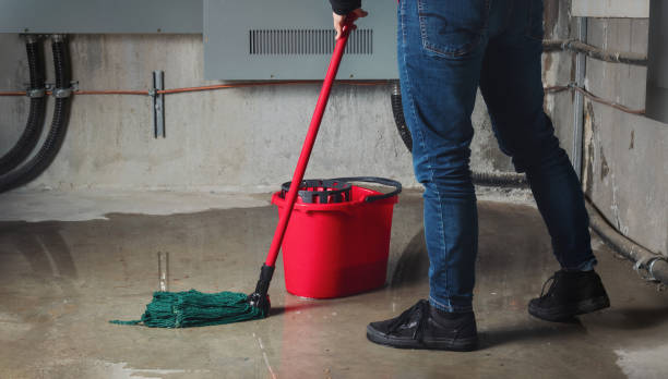 Best Water damage cleanup near me  in Port Ewen, NY