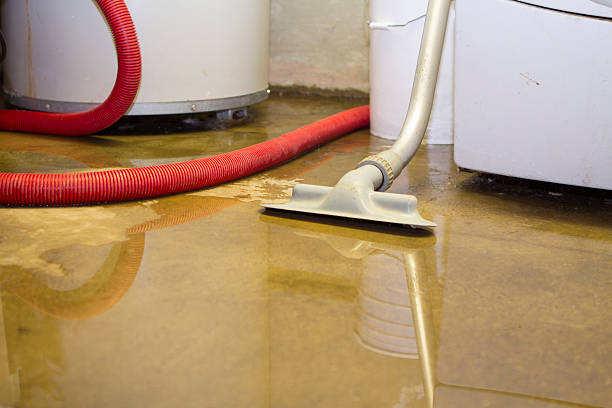 Best Professional water damage repair  in Port Ewen, NY