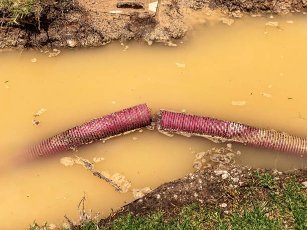 Best Water damage cleanup near me  in Port Ewen, NY