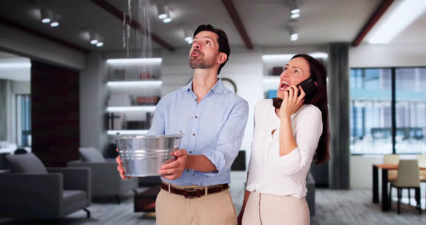 Best Basement water damage restoration  in Port Ewen, NY